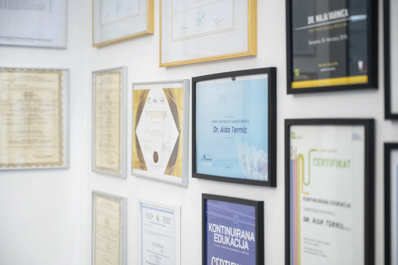 Diplome i certifikati tima Vogdent — kontinuirana edukacija